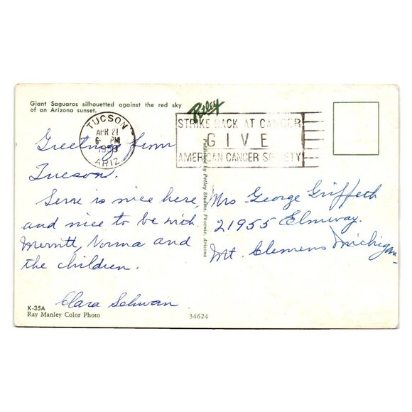 Giant Saguaro Cactus Arizona Sunset Postcard Vintage 1950s Ray Manley Published - Picture 2 of 2